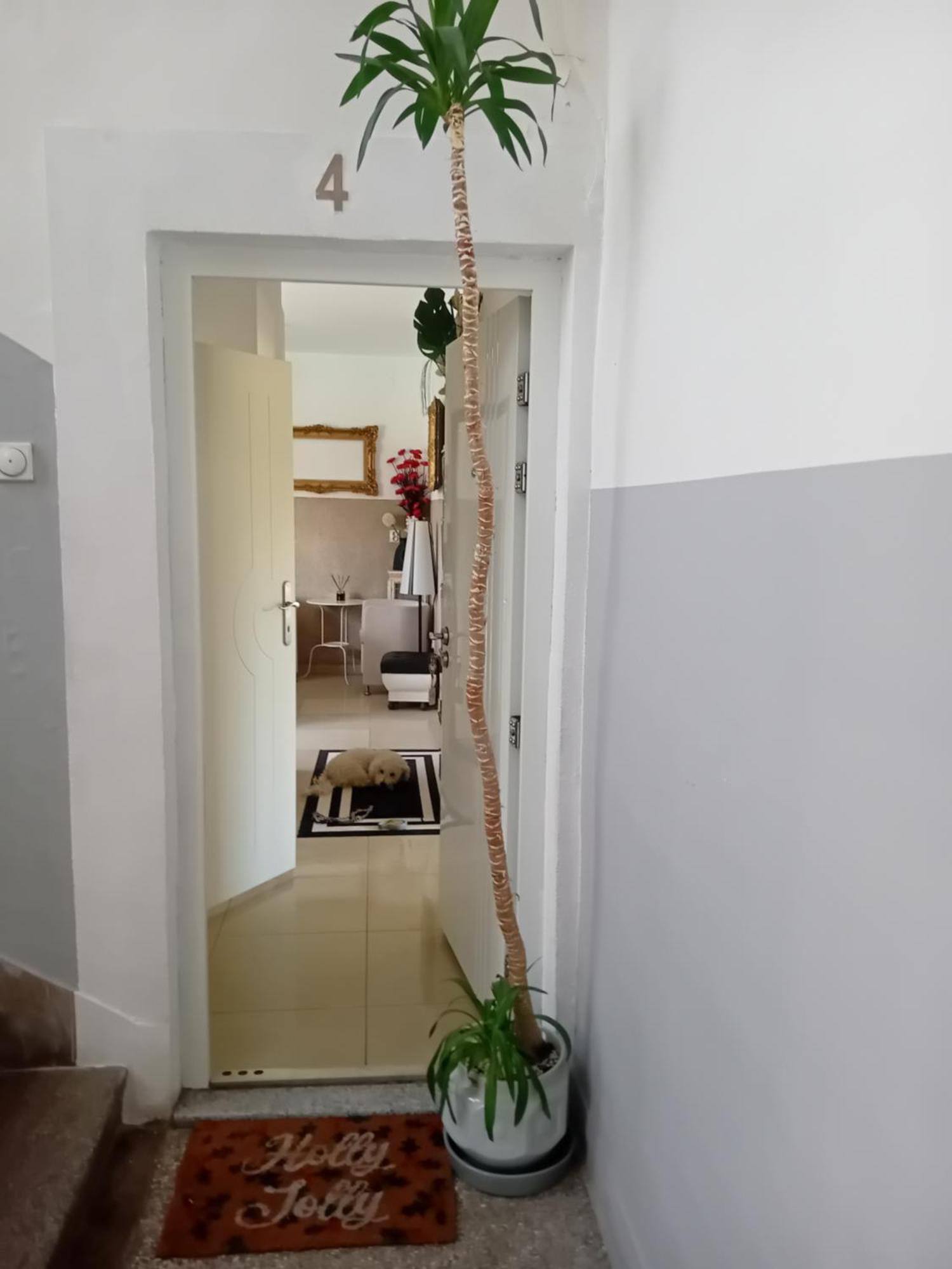 Apartment Top Centar 바냐루카 외부 사진